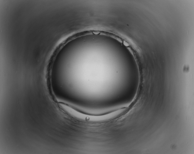 X0000103301264200808291357