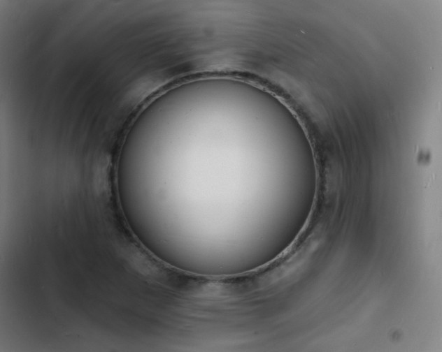 X0000103301265200808291357