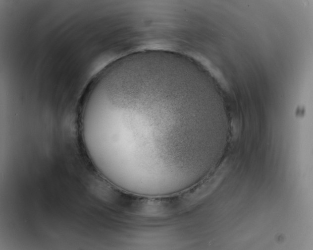 X0000103301266200808291357