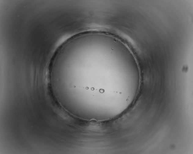 X0000103301267200808291357