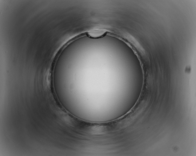 X0000103301268200808291357