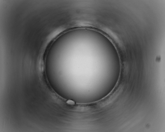 X0000103301269200808291357