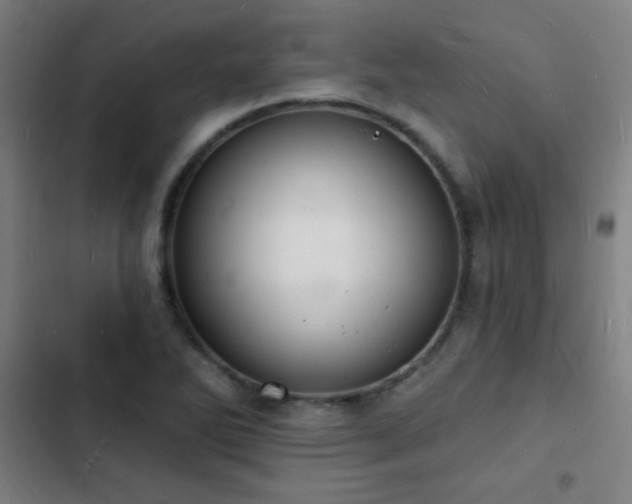 X0000103301270200808291357