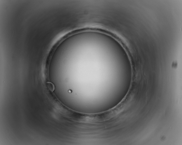 X0000103301271200808291357