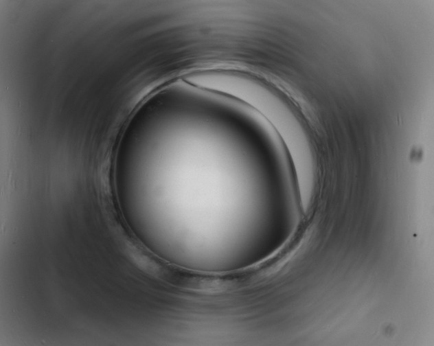 X0000103301273200808291357