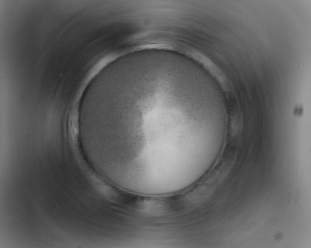 X0000103301274200808291357