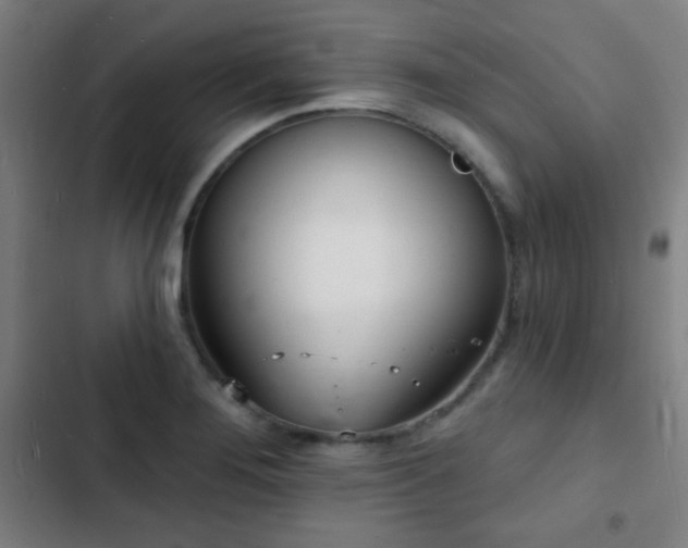 X0000103301276200808291357