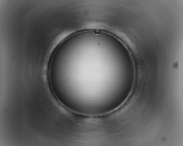 X0000103301277200808291357