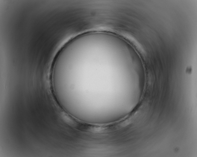 X0000103301278200808291357