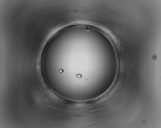 X0000103301279200808291357