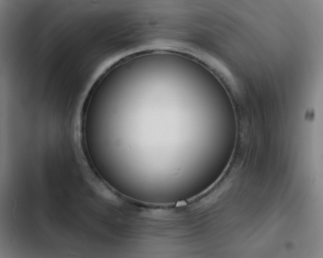 X0000103301280200808291357