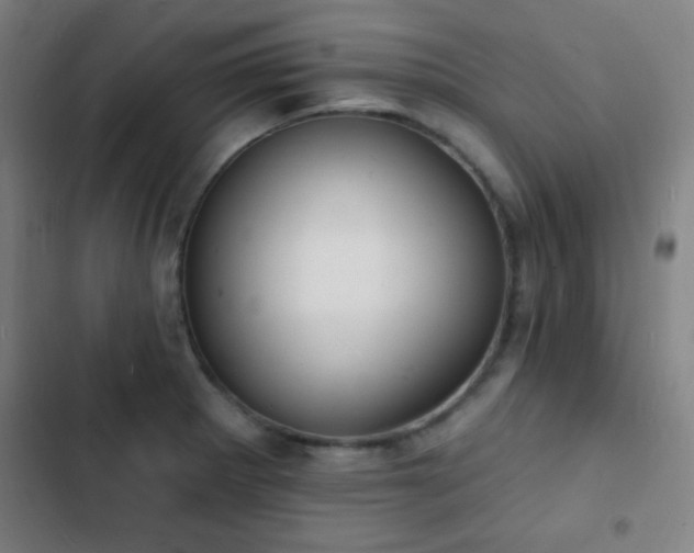 X0000103301281200808291357