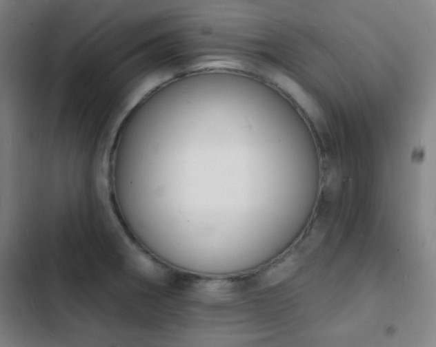 X0000103301282200808291357