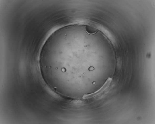 X0000103301283200808291357