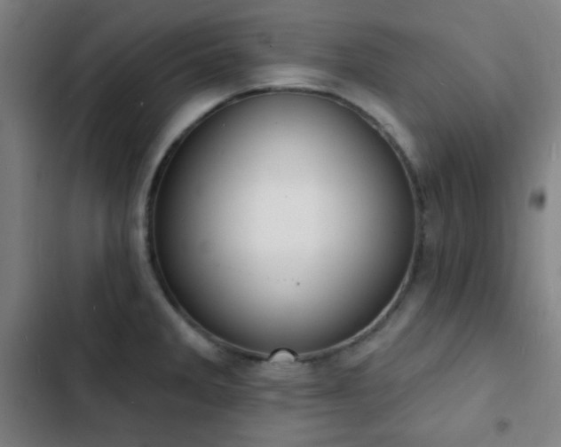 X0000103301285200808291357