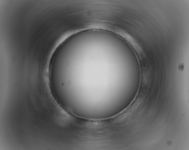 X0000103301286200808291356