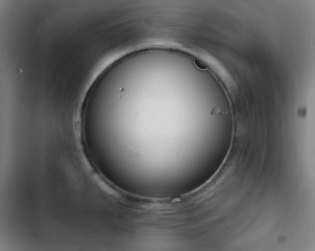 X0000103301287200808291356