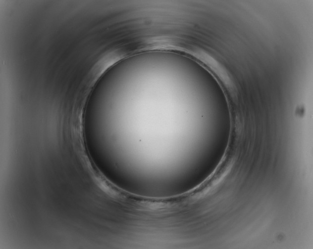 X0000103301289200808291356