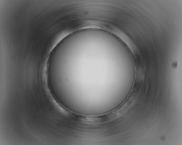 X0000103301290200808291356