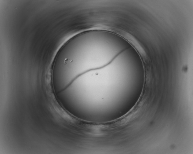X0000103301292200808291356