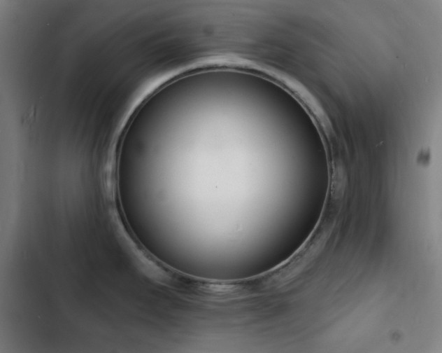 X0000103301295200808291356