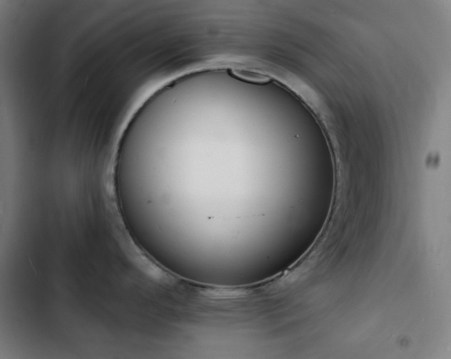 X0000103301296200808291356