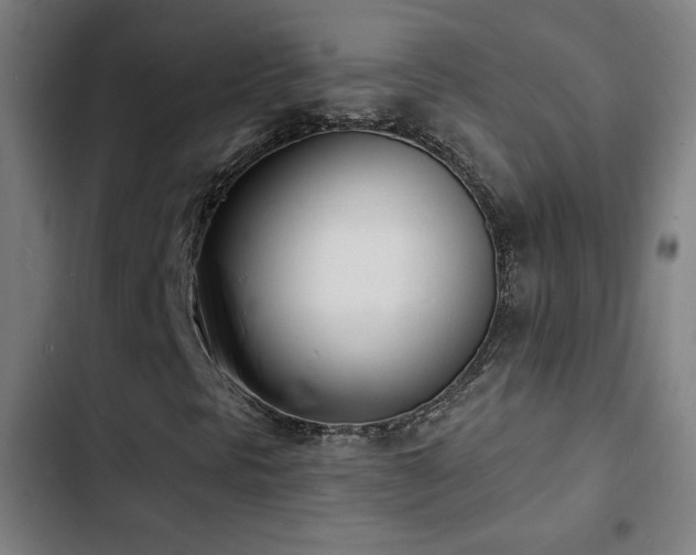 X0000103301297200808291356