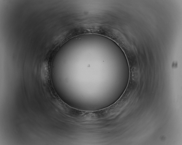 X0000103301298200808291356