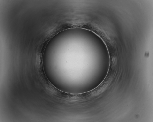 X0000103301300200808291356