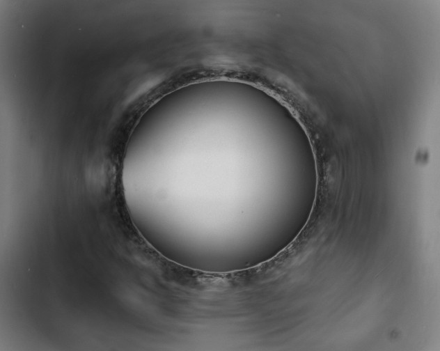 X0000103301302200808291356