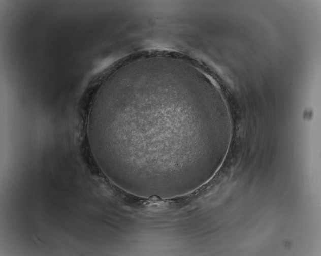 X0000103301303200808291356
