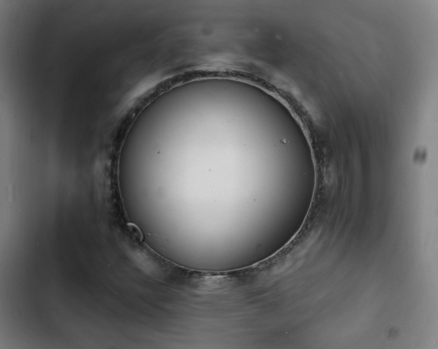 X0000103301304200808291356