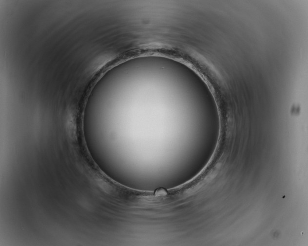 X0000103301305200808291356