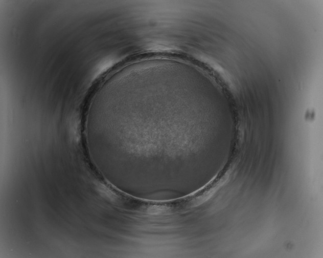 X0000103301306200808291356