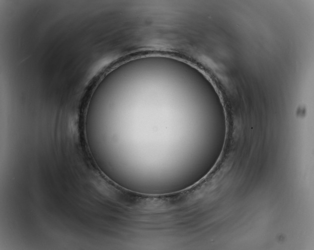 X0000103301307200808291356