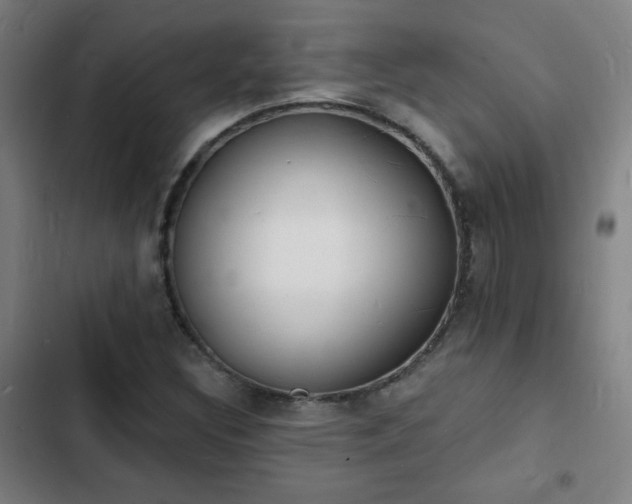X0000103301308200808291356
