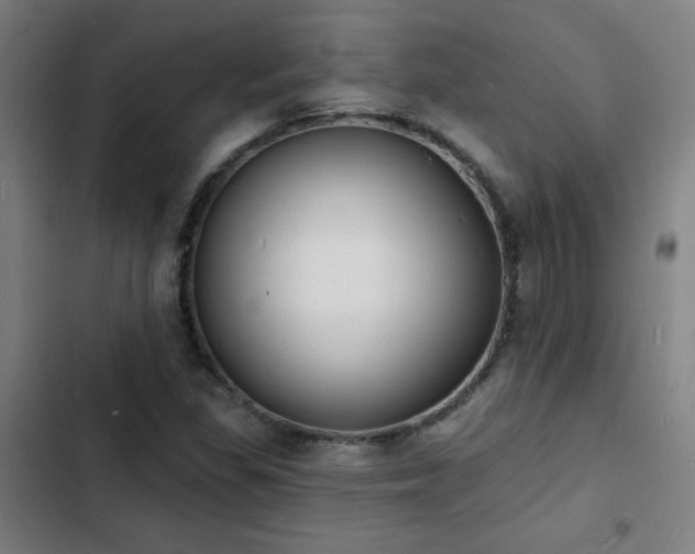 X0000103301309200808291356