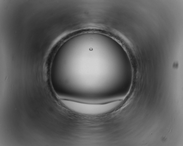 X0000103301310200808291356