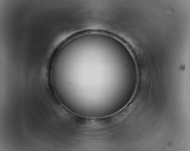 X0000103301311200808291356