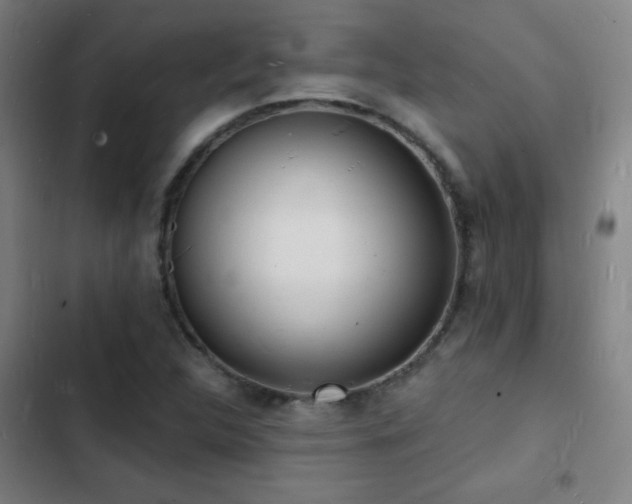 X0000103301312200808291356