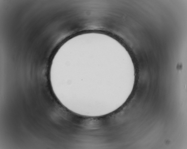 X0000103301314200808291356