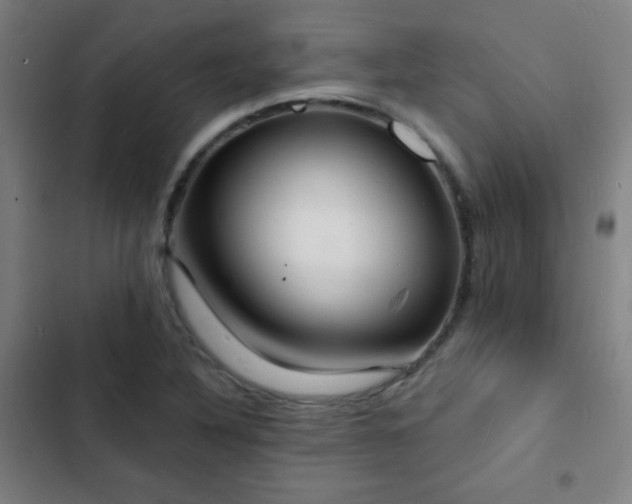 X0000103301316200808291356