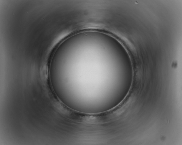 X0000103301317200808291356