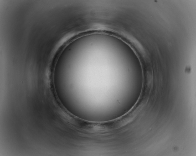 X0000103301318200808291356