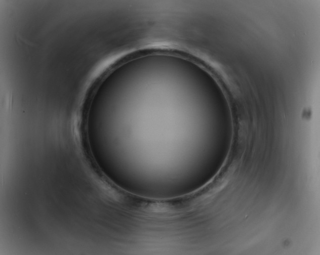 X0000103301319200808291356