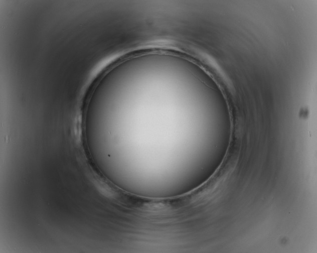 X0000103301320200808291356