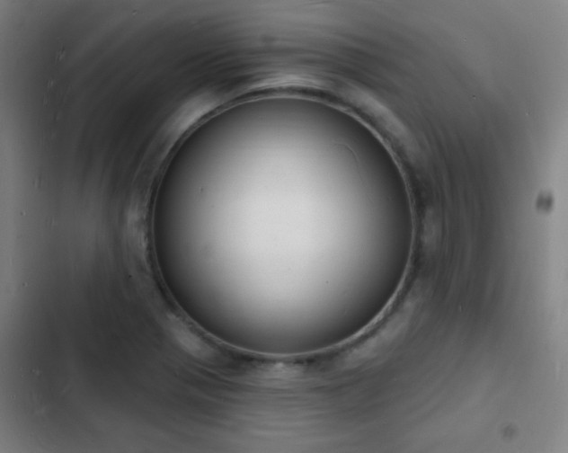 X0000103301321200808291356