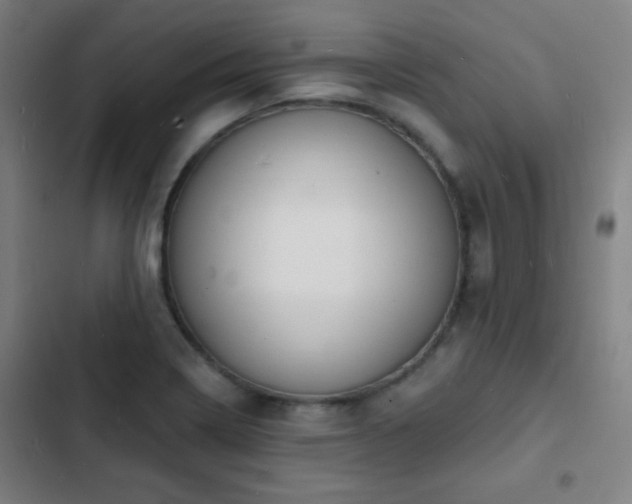 X0000103301322200808291356