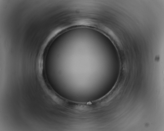 X0000103301323200808291356