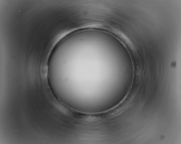 X0000103301324200808291356